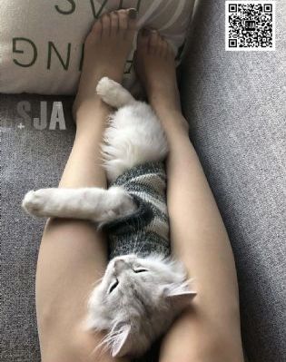 神秘电影在线免费观看