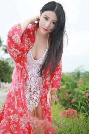 律政佳人电视剧全集在线观看