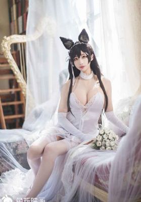屌丝骑士
