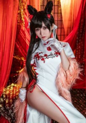 美女视频免费观看